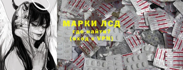 apvp Алзамай