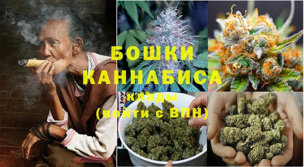 прущие грибы Абдулино