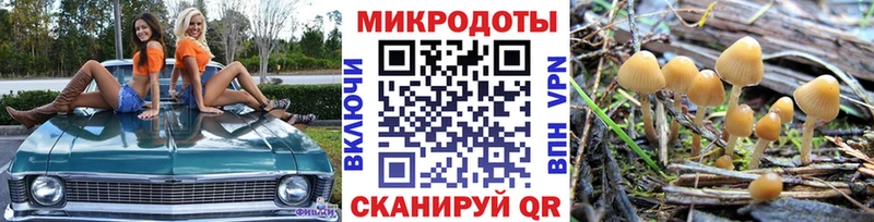 Галлюциногенные грибы Psilocybine cubensis Фатеж